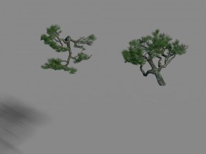 acacia - pine - foliage 01 3D Модель
