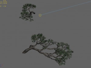 acacia - pine - foliage 01 3D Модель