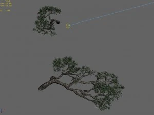 acacia - pine - foliage 01 3D Model