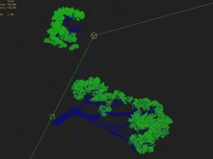 acacia - pine - foliage 01 3D Model