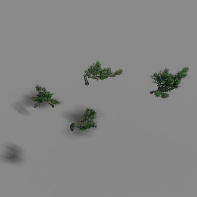 acacia - pine - foliage 02 Modelo 3D .c4d .max .obj .3ds .fbx .stl .blend 