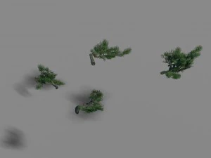 बबूल - चीड़ - पत्ते 02 3D मॉडल