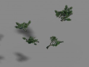 acacia - pine - foliage 02 Modelo 3D