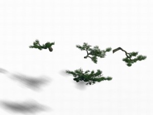 acacia - pine - foliage 02 Modelo 3D