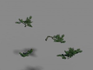 acacia - pine - foliage 02 Modelo 3D