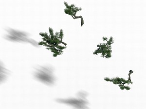 acacia - pine - foliage 02 Modelo 3D