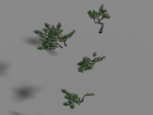 acacia - pine - foliage 02 Modelo 3D