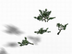 acacia - pine - foliage 02 Modelo 3D