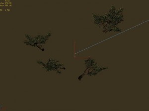 acacia - pine - foliage 02 Modelo 3D
