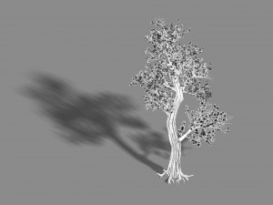 acacia school - peach tree 01 Model 3D