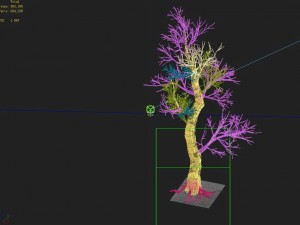 acacia school - peach tree 01 Model 3D