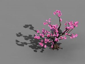 acacia school - peach 02 Modèle 3D
