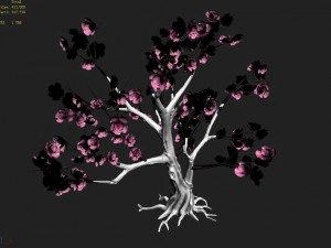 acacia school - peach 02 Modèle 3D
