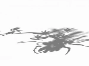 river - grass 02 3D Model