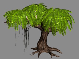 river yangcheng - huai tree 01 3D Model