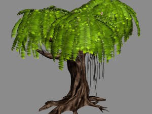 river yangcheng - huai tree 01 3D 모델