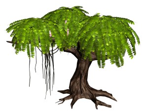 river yangcheng - huai tree 01 3D 모델