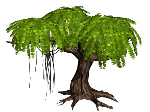 river yangcheng - huai tree 01 3D Model