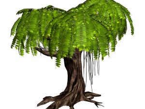river yangcheng - huai tree 01 3D 모델