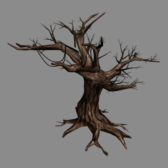 river yangcheng - ash tree trunk 01 3D Model .c4d .max .obj .3ds .fbx .stl .blend 