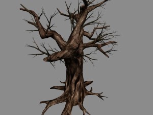 river yangcheng - ash tree trunk 01 3D Model