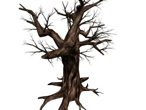 river yangcheng - ash tree trunk 01 3D Model
