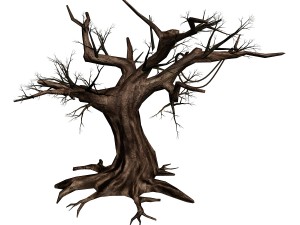 river yangcheng - ash tree trunk 01 3D Model