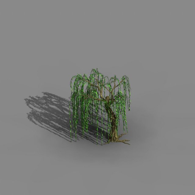 river yangcheng - willow 02 3D Model .c4d .max .obj .3ds .fbx .stl .blend 
