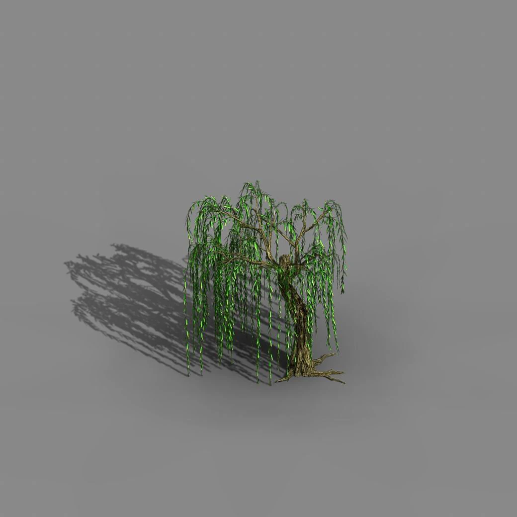 river yangcheng - willow 02 3D Model .c4d .max .obj .3ds .fbx .stl .blend 