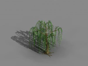 river yangcheng - willow 02 3D Model