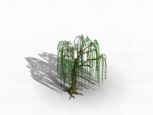 river yangcheng - willow 02 3D Model