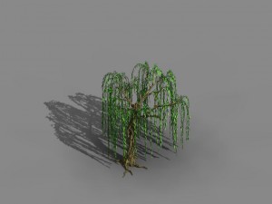 river yangcheng - willow 02 3D Model