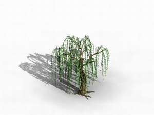river yangcheng - willow 02 3D Model