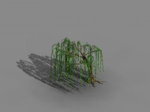 river yangcheng - willow 02 3D Model