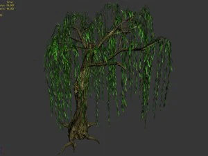 river yangcheng - willow 02 3D Model