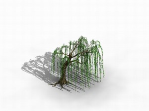 river yangcheng - willow 02 3D Model