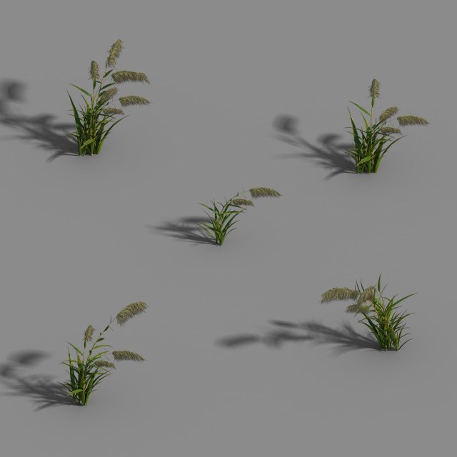 river yang city - reed 01 3D Model .c4d .max .obj .3ds .fbx .stl .blend 