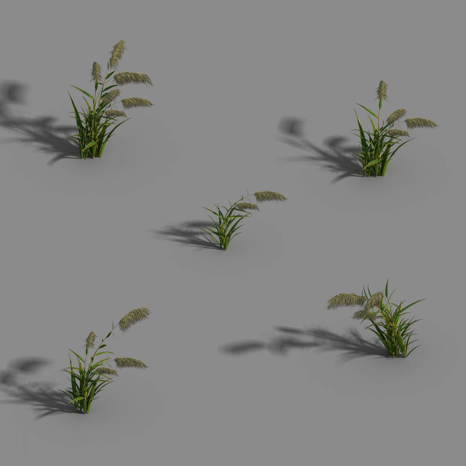 river yang city - reed 01 3D Model .c4d .max .obj .3ds .fbx .stl .blend