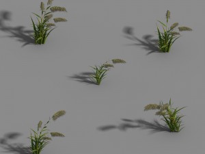 river yang city - reed 01 Model 3D