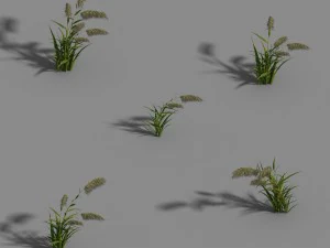 kota sungai yang - buluh 01 Model 3D