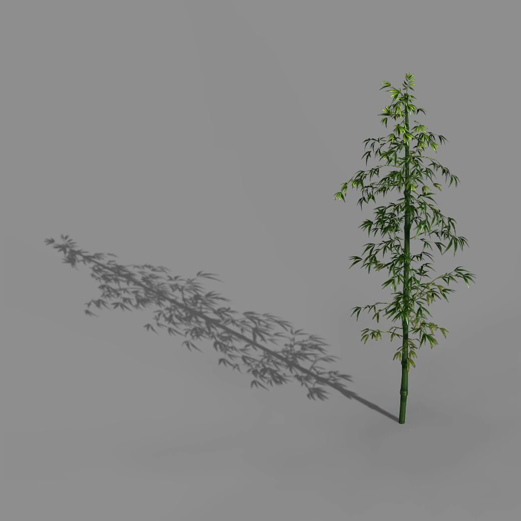 heyang suburbs - bamboo 01 3D Model .c4d .max .obj .3ds .fbx .stl .blend