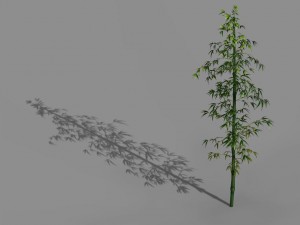 heyang suburbs - bamboo 01 3D Модель