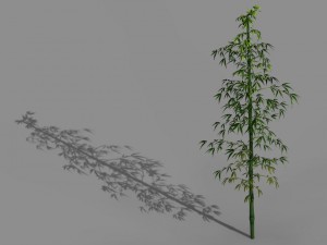 heyang suburbs - bamboo 01 3D Модель
