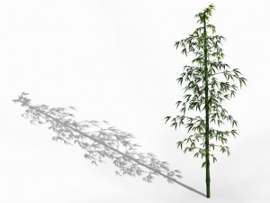 heyang suburbs - bamboo 01 3D Модель