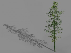 heyang suburbs - bamboo 01 3D Модель