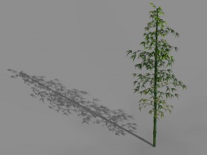 heyang suburbs - bamboo 01 3D Модель