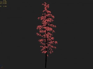 heyang suburbs - bamboo 01 3D Модель