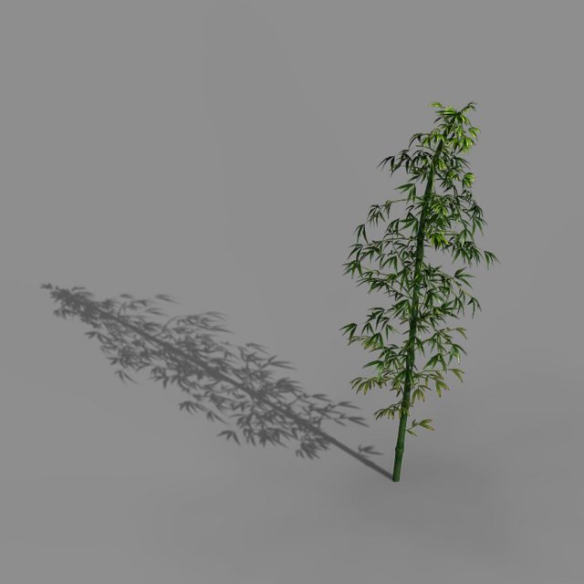 heyang outskirts - bamboo 02 3D Model .c4d .max .obj .3ds .fbx .stl .blend 