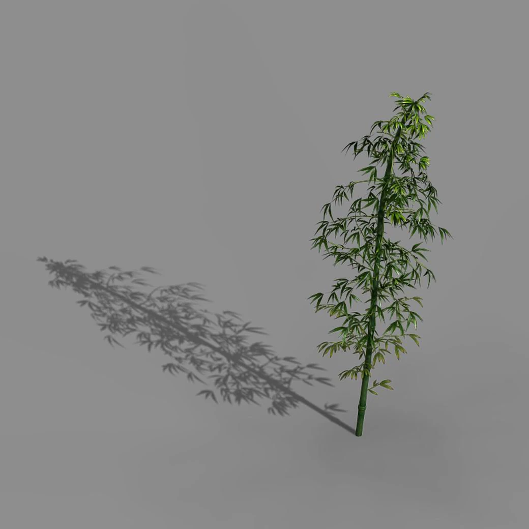 heyang outskirts - bamboo 02 3D Model .c4d .max .obj .3ds .fbx .stl .blend 