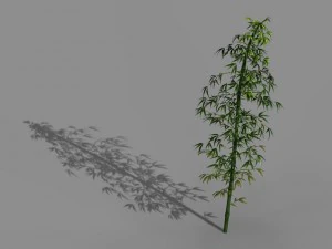 河陽郊外 - 竹02 3Dモデル